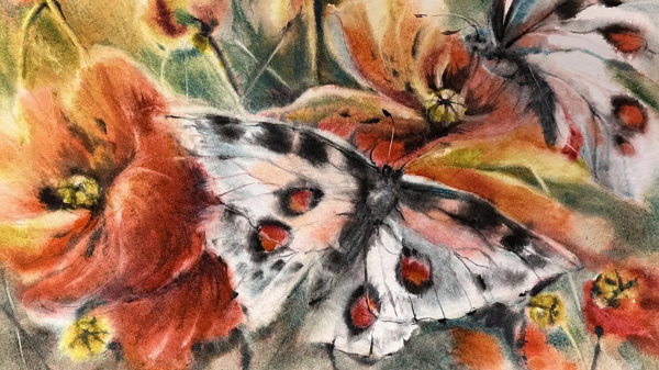 ...