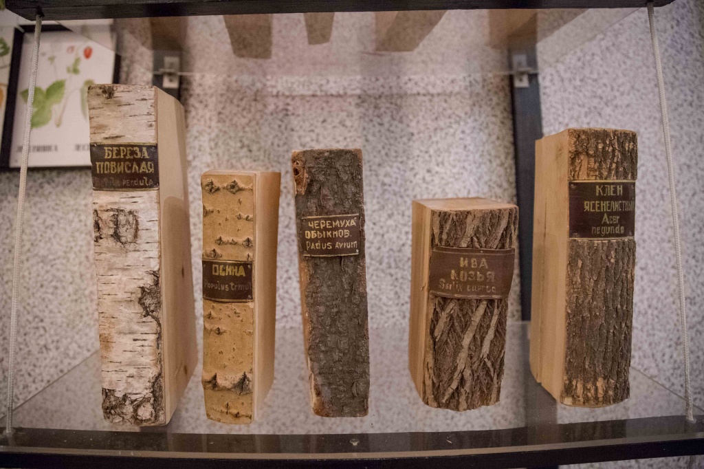 Тогучин (22).jpg