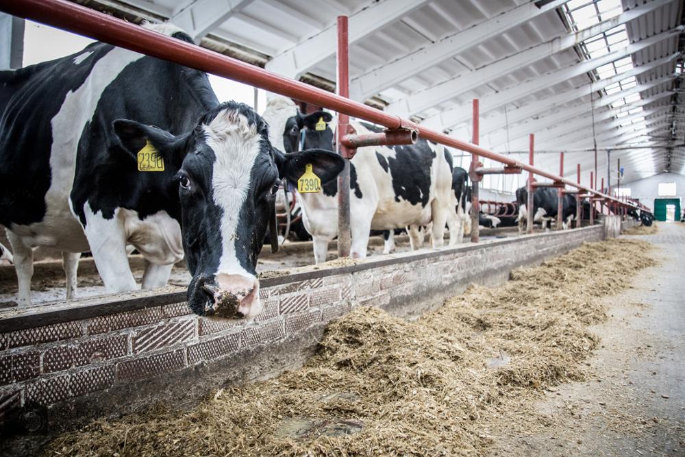 Ордынка_десант (10).jpg