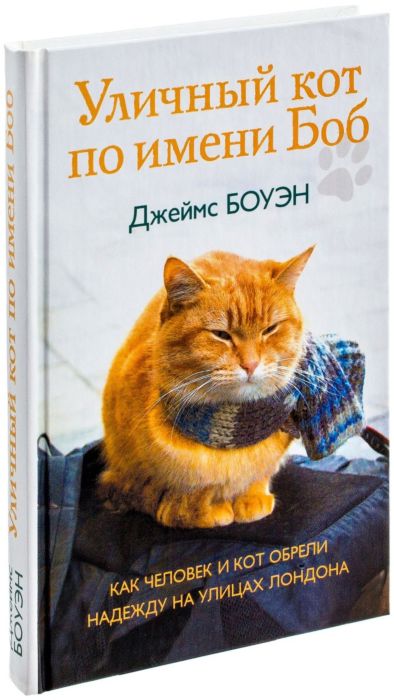 кот по имени боб.jpg