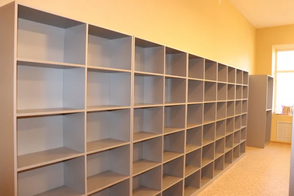 В Искитиме и Ордынском районе прошло выездное совещание проектного офиса по созданию модельных библиотек