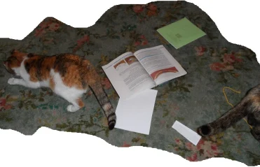 В моей семье читают все