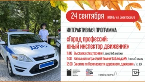 Интерактивная программа  «Город профессий: юный инспектор движения»