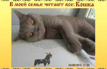 В моей семье читают все