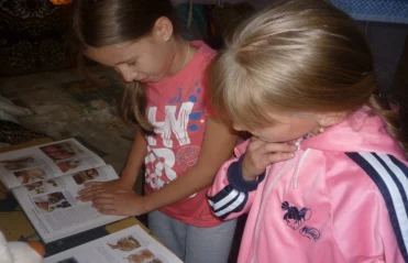 В моей семье читают все