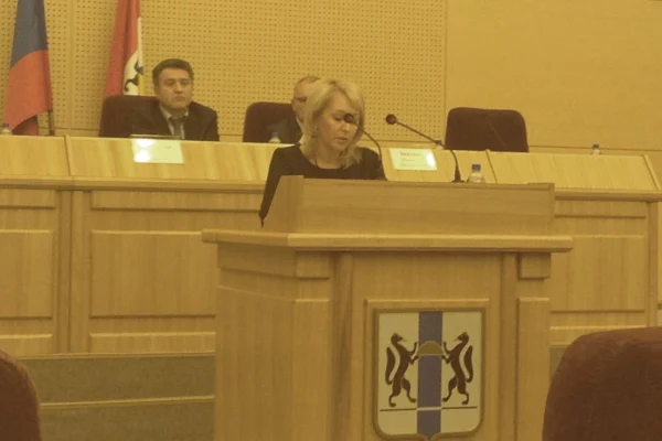 Выступление перед депутатами Заксобрания области