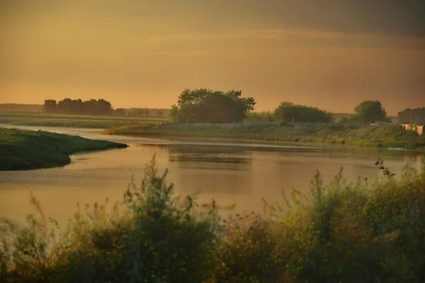 Дедовские чтения