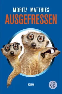 Matthies, M. Ausgefressen