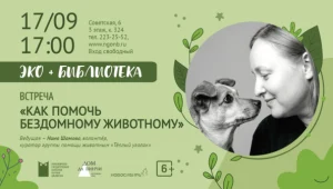 Встреча с волонтером «Как помочь бездомному животному» 
