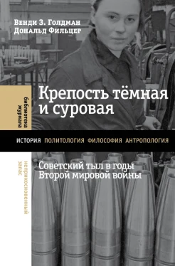 Голдман В. З., Крепость темная и суровая. Советский тыл в годы Второй мировой войны
