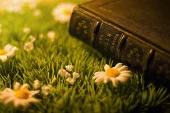 10 книг с интригующим названием