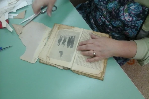 Вторая жизнь для любимых книг