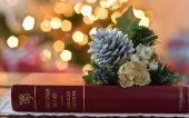 Книги с новогодним настроением ч. 2