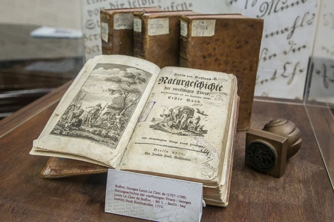 Новости проекта...