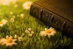 10 книг с интригующим названием