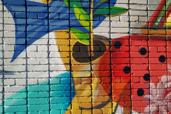 Пять библиотек станут счастливыми обладателями монументальной живописи