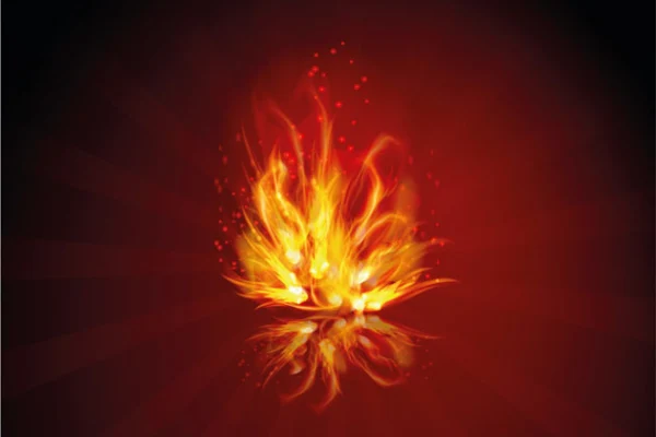 VI литературный Цветаевский костёр