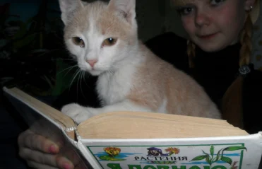 В моей семье читают все