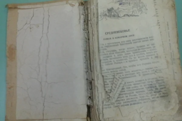 Вторая жизнь для любимых книг