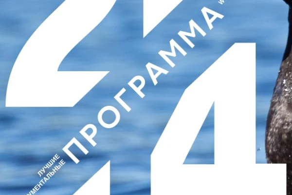 Кинопоказы в рамках «Программы 20/14»