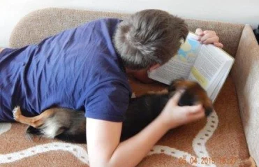 В моей семье читают все