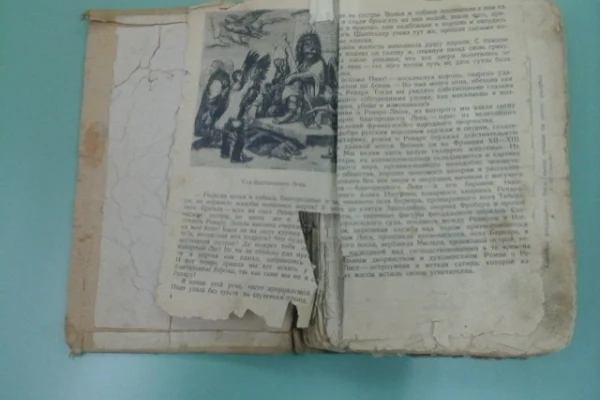 Вторая жизнь для любимых книг