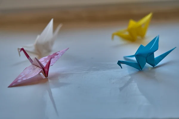 Библиотека присоединилась к фестивалю «Японская осень в Сибири»