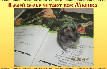 В моей семье читают все