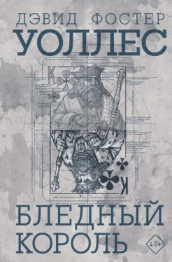 Уоллес Д. Ф., Бледный король.