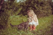 Книги о кошках