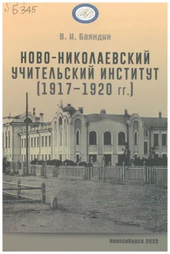 Баяндин В. И., Ново-Николаевский учительский институт (1917-1920 гг.)