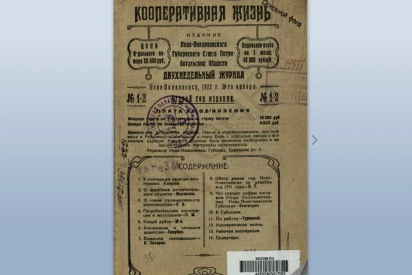 Презентация цифровой коллекции