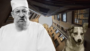 «Собачье сердце»: «Медиаклуб» представляет художественный фильм к 135-летию со дня рождения Михаила Булгакова и юбилею режиссера Владимира Бортко