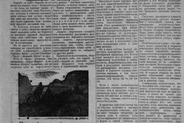 Цифровые коллекции местной печати