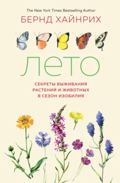  Хайнрих Б., Лето: секреты выживания растений и животных в сезон изобилия