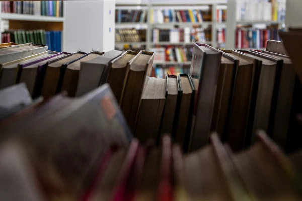 Партнерские отношения с фондом для поддержки бойцов СВО «Защитники Отечества»