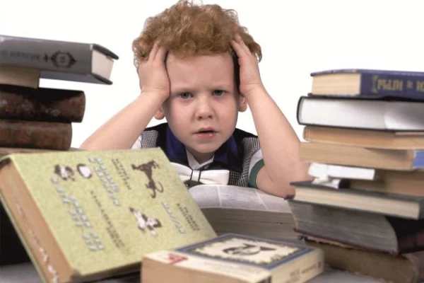 Презентация пособия «Понять автора: учимся смысловому чтению»