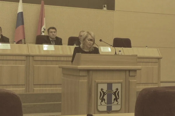 Выступление перед депутатами Заксобрания области